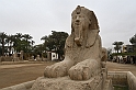 07 MAK_6862